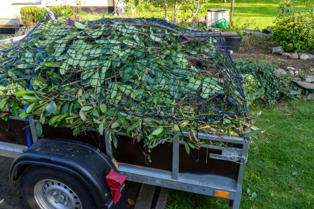 Best Estate Cleanout  in Cannelton, IN
